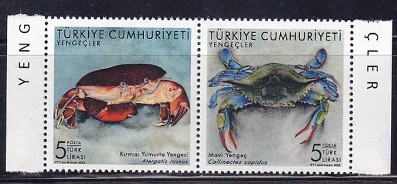 2022 YENGEÇLER 2’Lİ MNH