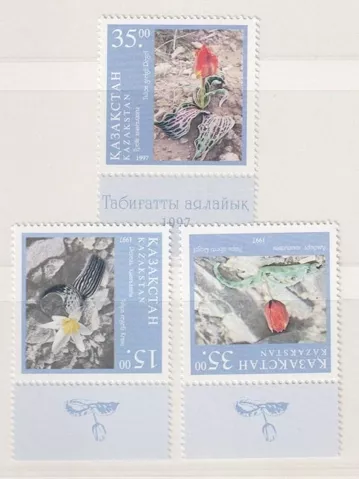 KAZAKİSTAN 1997 ÇİÇEKLER, LALELER POSTA PULLARI MNH SERİ